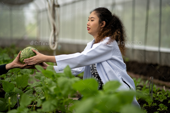 Fruit researcher quality control check list growing fruit vegetable indoor agriculture farming