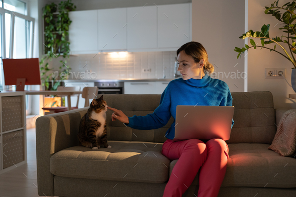 Tired female freelancer in blue shirt teases cat, using computer on knees in modern room with plants