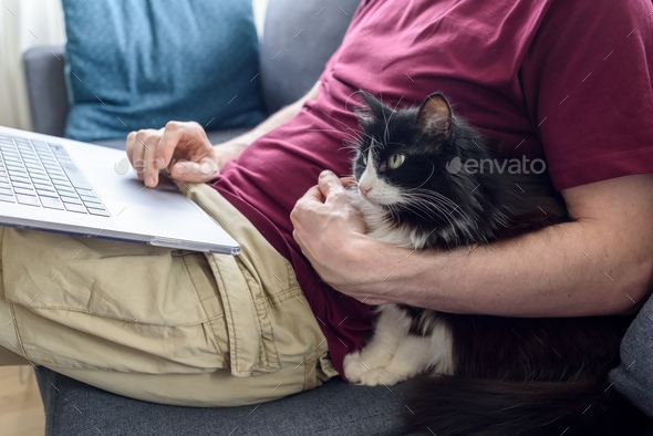 Man working on laptop with his cat - Stock Photo - Images