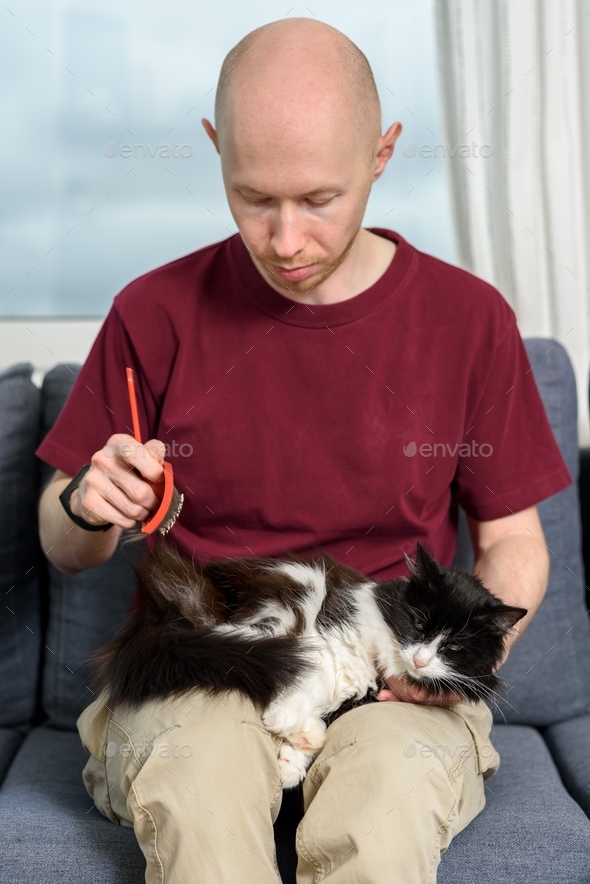 Man brushing his cat - Stock Photo - Images