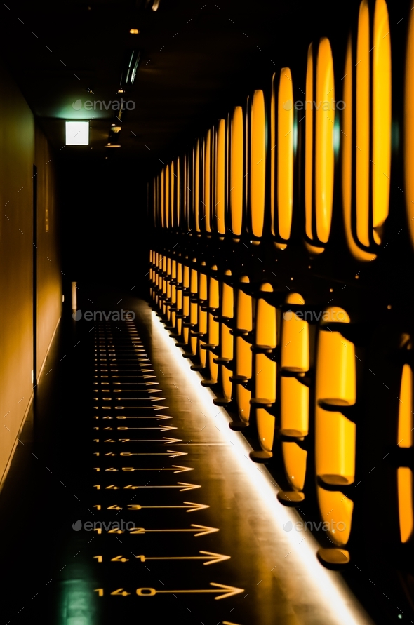 Capsule hotel in a Japanese airport