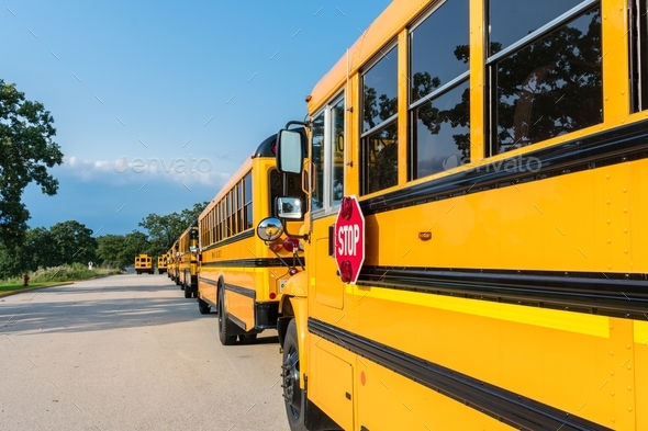 Long line of yellow school buses lined up at a school campus