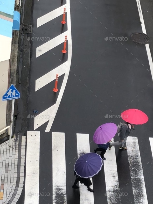 People on a pedestrian crossing using different colored umbrellas during the rainy season in Japan.