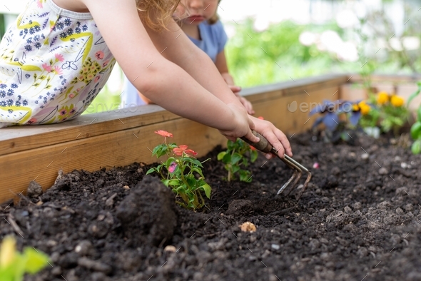 Two little girls digging and planting in a raised garden bed