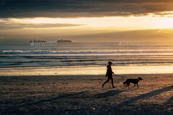 dog beach sunset