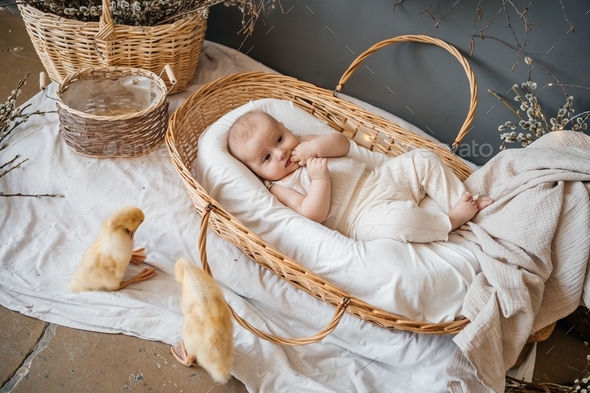 Organic Nature Babies » Willow Baby Photography