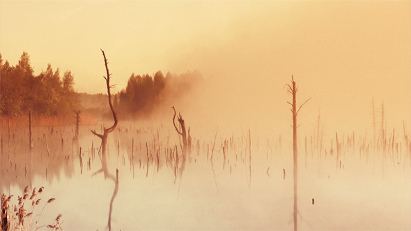 Sunrise On The Marsh