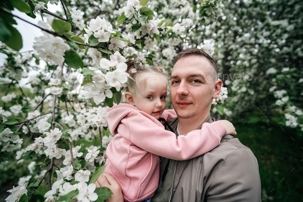  baby daughter in the arms of dad hugs him in a blooming apple orchard