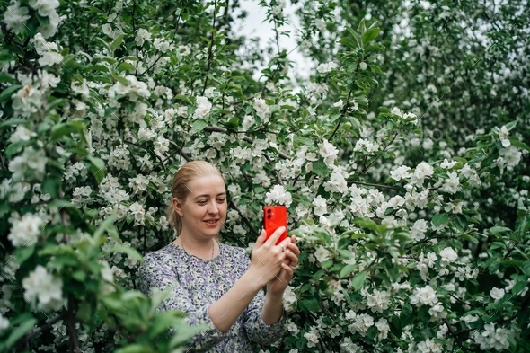 girl in blooming apple tree using smartphone video call outdoor nature