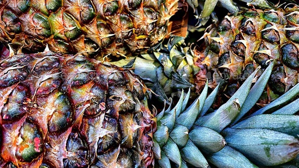 Overhead shot of fresh ripened pineapples lying end-to-end