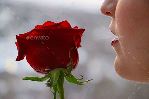 Minimalist style portrait of woman holding single long stemmed red rose near her face.