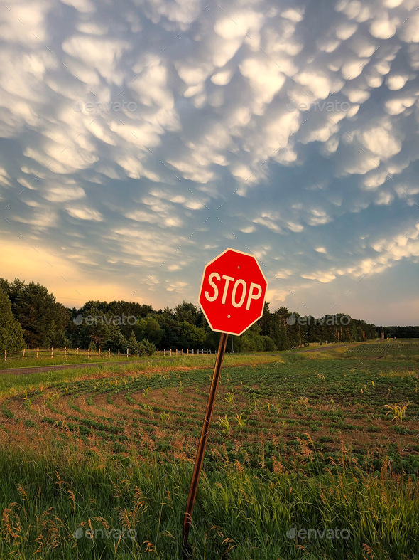 Crooked stop sign at the corner of a dirt road and bean field beneath a cotton ball cloudy sky.