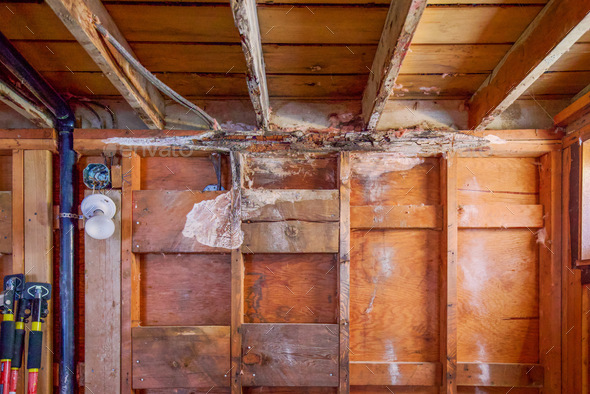Dry rot bathroom wall - Stock Photo - Images