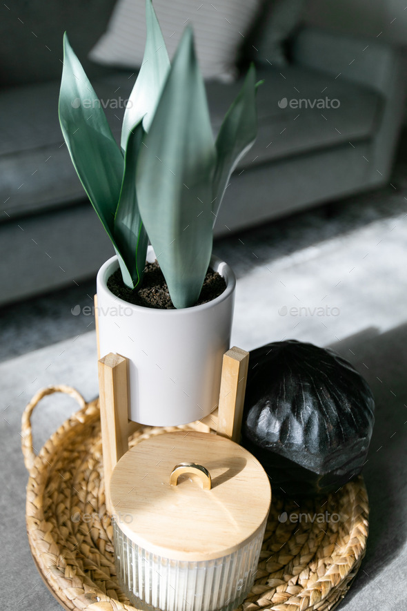Plant and candle as center piece