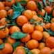 Clementine fruit for sale on a market stall - PhotoDune Item for Sale