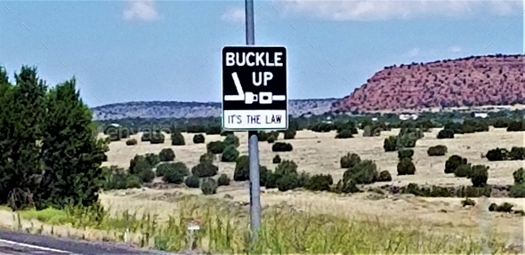 Road Signs! Street Signs! Buckle Up, It\'s the Law!