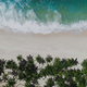 Top Aerial Drone View of Tropical Beach Paradise with Palm Trees, Travel and Tourism Conceptual - PhotoDune Item for Sale