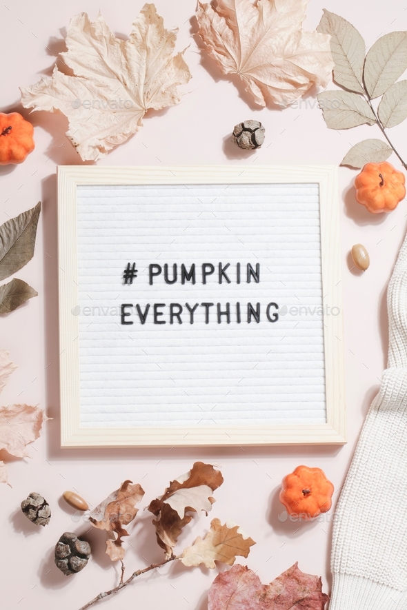 felt letter board and text pumpkin everything with hashtag and leaves, pumpkins, sweater