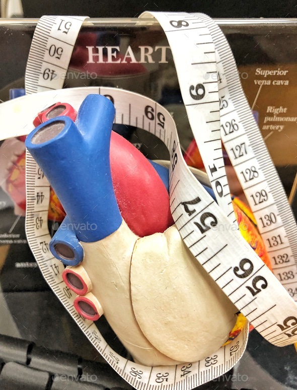 Heart health concept