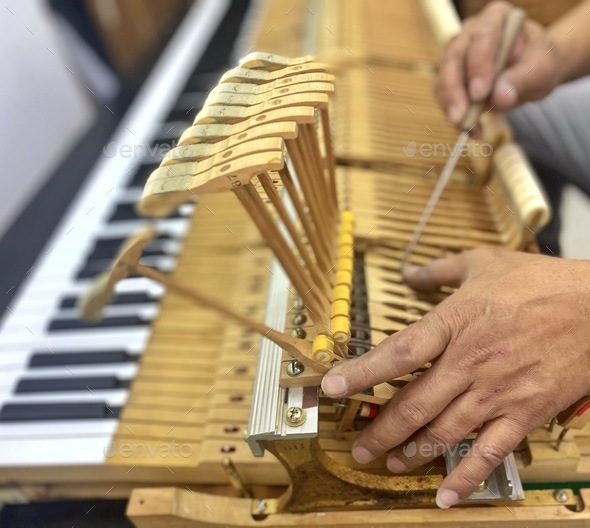 Diverse piano technician repairs a grand piano keyboard by hand one key