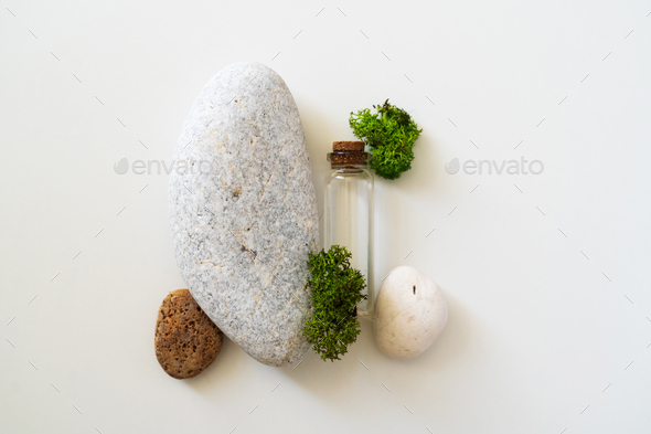 Sea moss personal care. Glass cork bottle with transparent serum and sea moss on white background