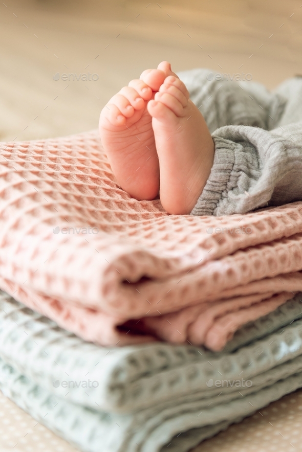 Baby feet on a pastel blankets Stock Photo by katedoarme PhotoDune