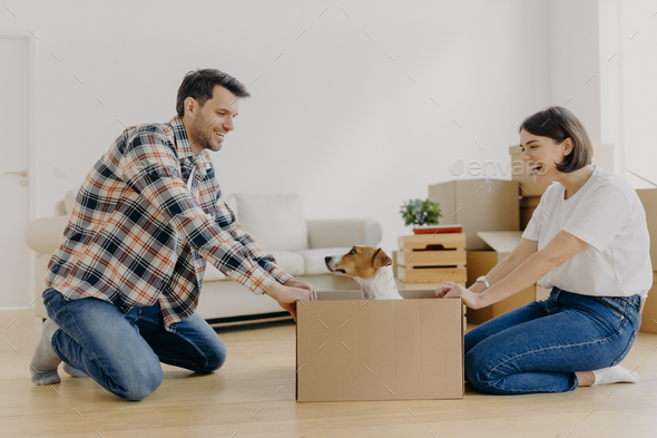 Funny young woman and man have fun during relocation, pose on floor with dog in cardboard box