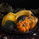 various types of ornamental pumpkins on dark background - PhotoDune Item for Sale