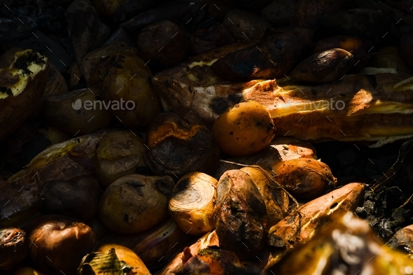 Pit cooking in Peru - Stock Photo - Images