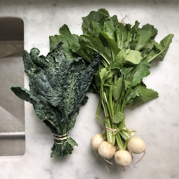 White radishes and kale by a kitchen sink Stock Photo by ehpyle PhotoDune