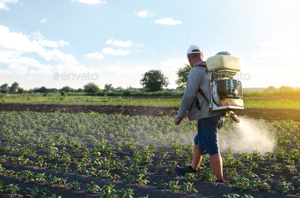 Farmer sprays a potato plantation with a sprayer.