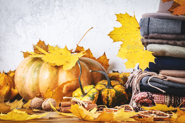 Autumn background with warm autumn and winter clothes, scarves, sweaters, felt hat