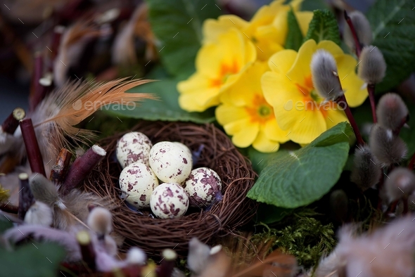 decorative easter nest made of natural materials-moss, tree branches, colorful bird feathers