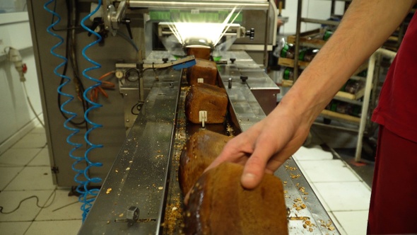 Worker on bread packaging process on a conveyor belt