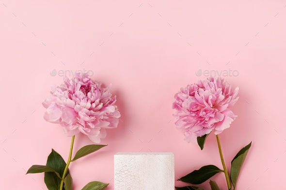 Cosmetics product advertising stand. Exhibition white podium with flowers peonies on a pink