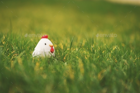 Rubber Chicken in the grass during spring time