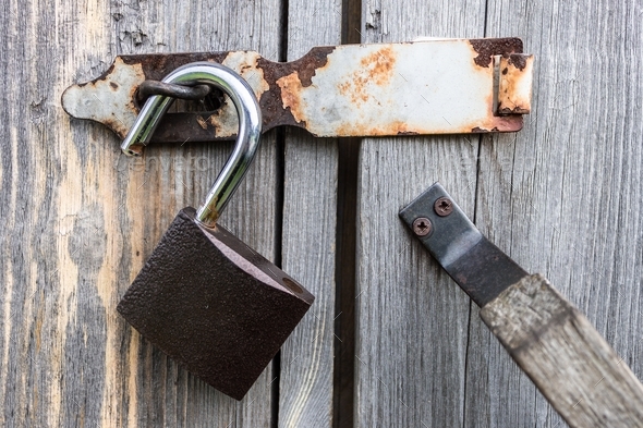 Steel and reliable padlock hanging on the wooden doors of the old barn in the open position