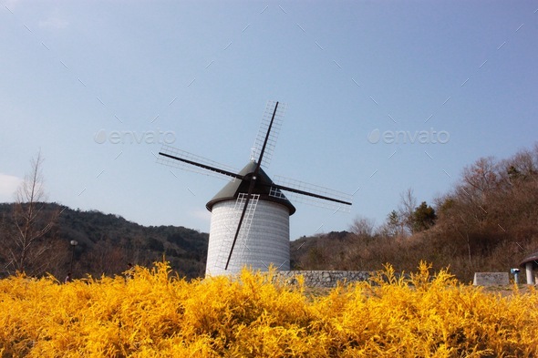 Windmill  - Stock Photo - Images