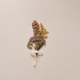 Dried Flowers Minimal - PhotoDune Item for Sale