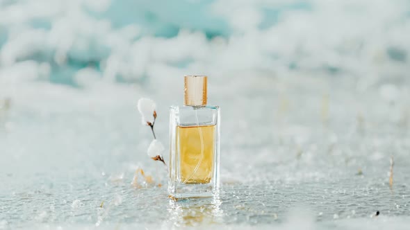 Close up of rectangular glass bottle of golden perfume stands near snowy twig on a frosted pond alt