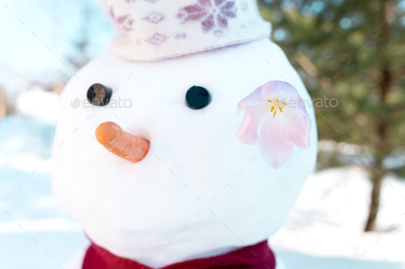Funny snowmen with pink tulip flower in head,face. Hello, welcome spring concept. Warm weather came.