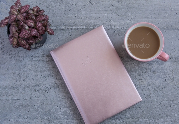 Pink journal on a grey desktop with coffee cup and a potted plant.