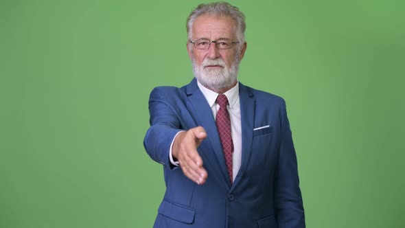 Handsome Senior Bearded Businessman Against Green Background alt