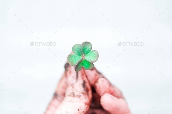 Happy St. Patrick\'s day. Best of luck. Irish. Dirty fingers holding four leafed clover.