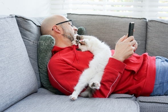 Man laying on the couch with mobile phone and kitty playing on his chest. - Stock Photo - Images