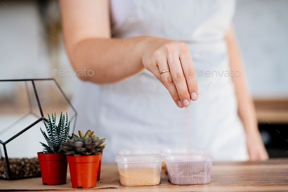 a woman in an apron pours sand into a pot. transplanting houseplants