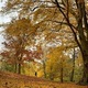 Autumn Season - PhotoDune Item for Sale