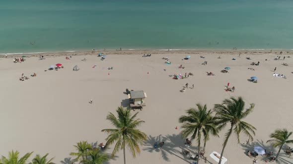 Aerial view of the beach and the ocean alt