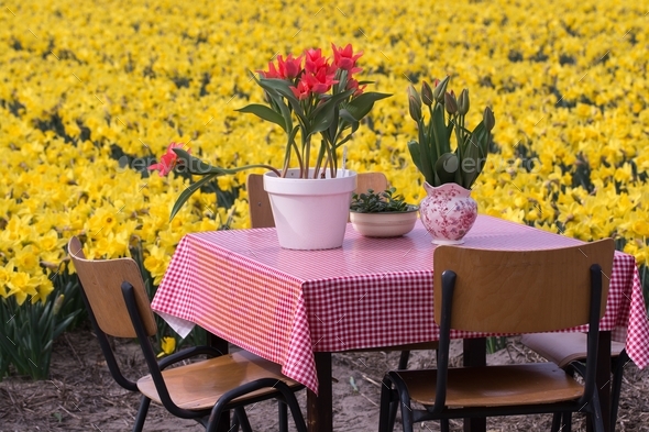 A nice place to have a coffee near a field of yellow daffodils