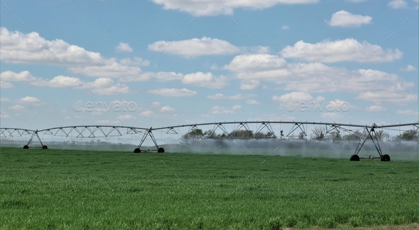 A large agricultural sprinkler going on a large green field with a blue sky and puffy white clouds - Stock Photo - Images